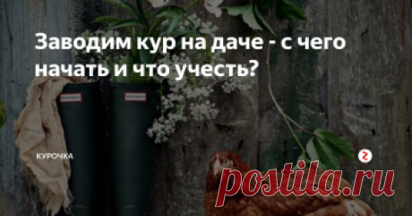 Заводим кур на даче - с чего начать и что учесть? Добрый день, начинающие птицеводы! Многие садоводы стали задумываться о том, как разнообразить получаемый урожай. Например, завести на теплый сезон кур-несушек. Обычно в апреле-мае взрослую птицу, которая будет нести яйца уже в этом году, продают и частники, и птицефабрики.
Если у вас нет опыта в содержании кур, но вы заинтересовались, то эта статья для вас. Первый вопрос, который возникает у боль