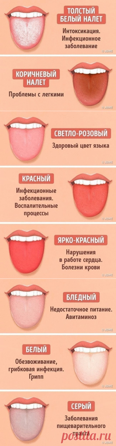 (46) Одноклассники