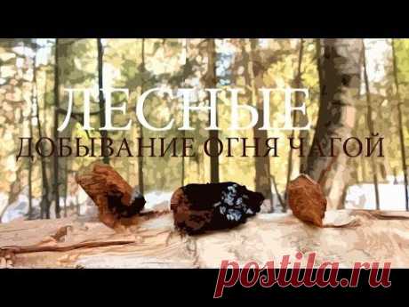 Добывание огня чагой. Техника трения об дерево