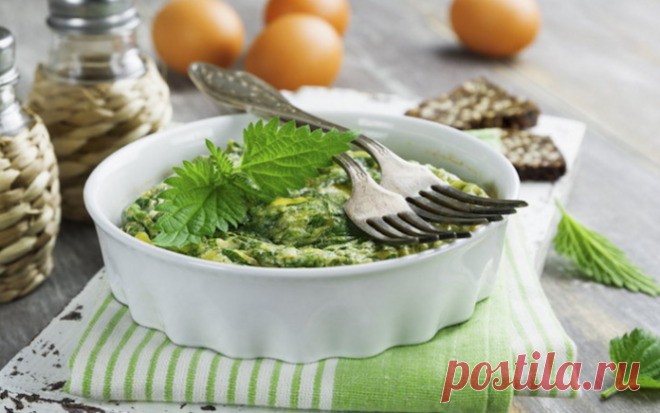 Открываем сезон: 21 рецепт из майской крапивы