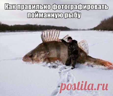 Подборка картинок. Вечерний выпуск (31 фото) . Тут забавно !!!
