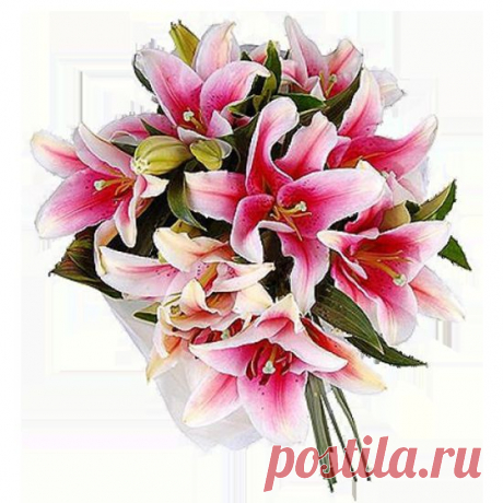 Язык цветов – язык любви