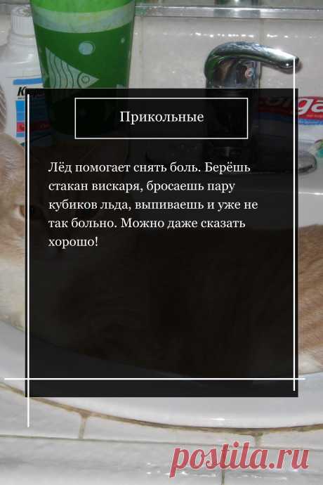 Цитата про «Приколы» — Лёд помогает снять боль. Берёшь стакан вискаря,…