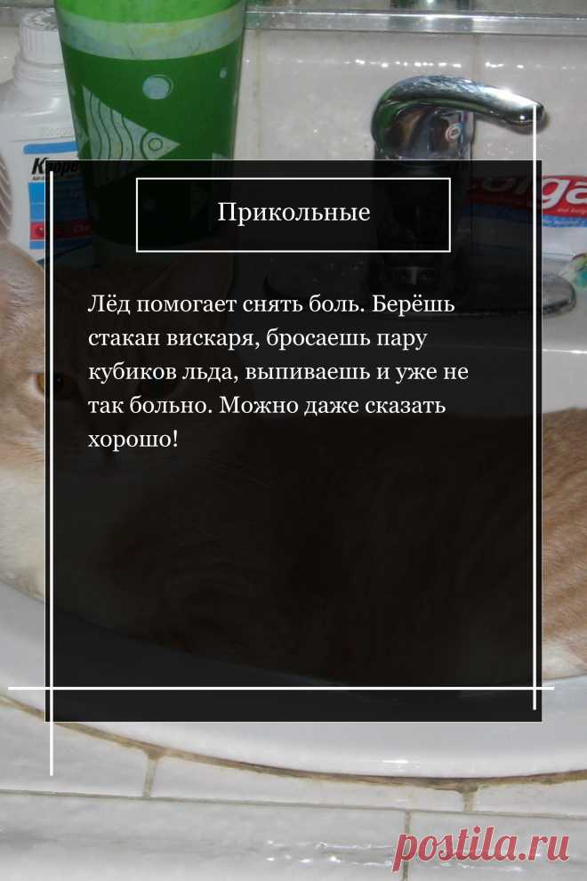 Цитата про «Приколы» — Лёд помогает снять боль. Берёшь стакан вискаря,…
