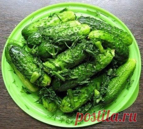 Огурцы быстрого поедания
Сделать такую вкуснятину у Вас не составит особого труда. Итак:
Ингредиенты:
огурцы свежие — 4кг
сахар - 1 стакан сахар
уксус — 1 стакан
растительное масло(рафинированное) — 1 стакан
соль - 2 ст. ложки
чеснок тертый — 2 ст. ложки
черный молотый перец — 1-2 г
большой пучок укропа
Приготовление:
Огурчики помыть и разрезать на 4 части. Добавить соль, сахар, перец, слегка перемешать и добавить растительное масло и уксус. (именно в таком порядке, так как кислота не даст