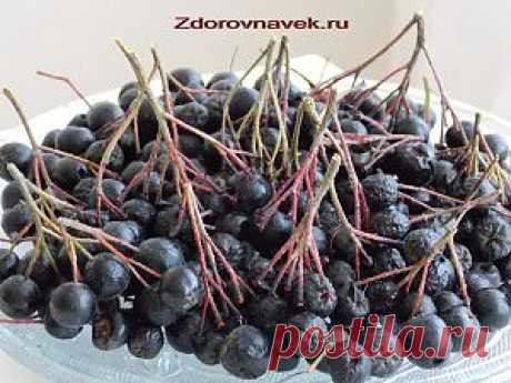 Черноплодная рябина лечебные свойства