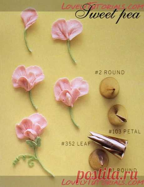 sweet_pea