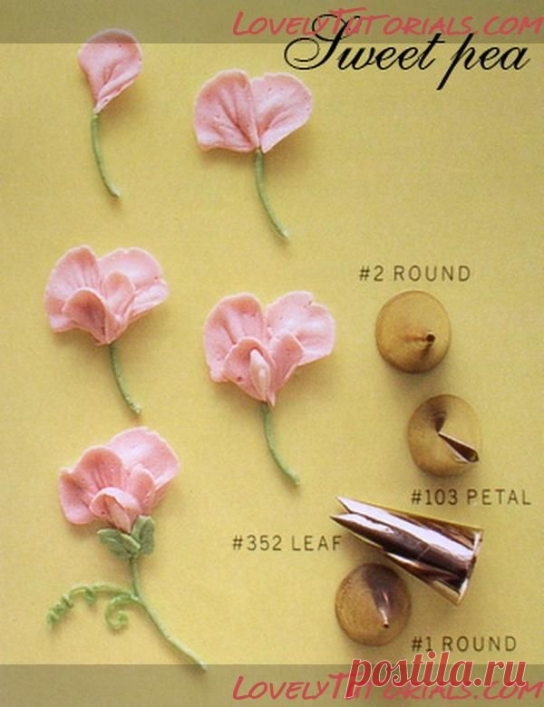 sweet_pea