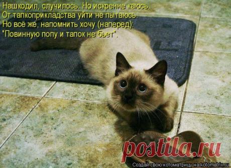 Полезные советы (из интернета) / Болталка / Разговоры на любые темы