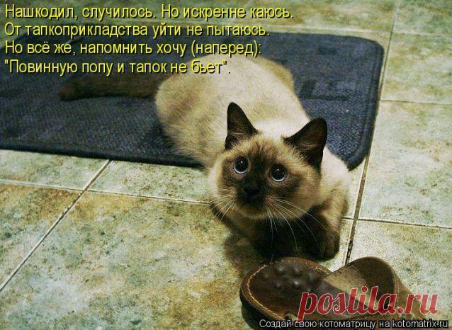 Полезные советы (из интернета) / Болталка / Разговоры на любые темы