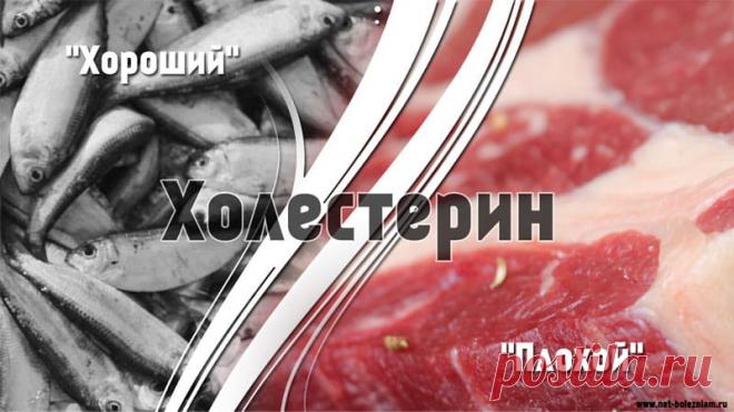 Повышенный холестерин? Причины, питание и анализы при гиперхолестеринемии 

Так получается, что когда мы говорим о питании, то часто упоминаем о таком химическом веществе как холестерин.

Если быть точнее то холестерин это не одно вещество, а целая категория веществ с различными свойствами (особенно для организма).