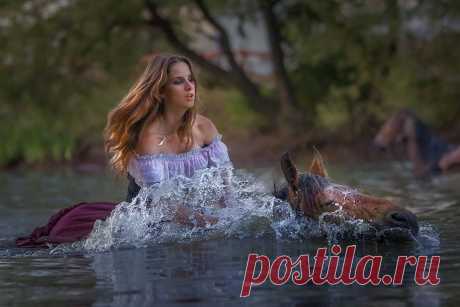 (1) Одноклассники