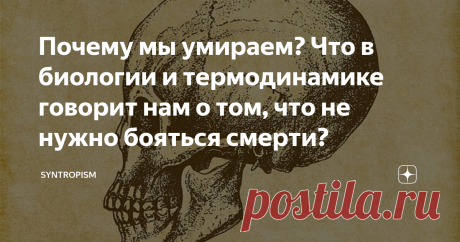 Почему мы умираем? Что в биологии и термодинамике говорит нам о том, что не нужно бояться смерти? Давайте поговорим о важном и неизбежном – о нашей смерти. Задумывались ли вы прежде отчего и главное почему вы умрете? На первый взгляд это банальный вопрос, ведь ответ достаточно очевиден  Смерть любого живого организма наступает в результате сочетания двух процессов – естественного износа (старения) и функциональных нарушений (болезней). Существуют конечно еще инфекции, трав...
