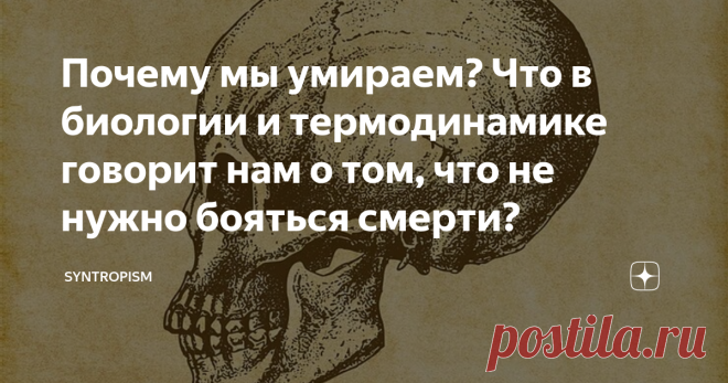 Почему мы умираем? Что в биологии и термодинамике говорит нам о том, что не нужно бояться смерти? Давайте поговорим о важном и неизбежном – о нашей смерти. Задумывались ли вы прежде отчего и главное почему вы умрете? На первый взгляд это банальный вопрос, ведь ответ достаточно очевиден  Смерть любого живого организма наступает в результате сочетания двух процессов – естественного износа (старения) и функциональных нарушений (болезней). Существуют конечно еще инфекции, трав...