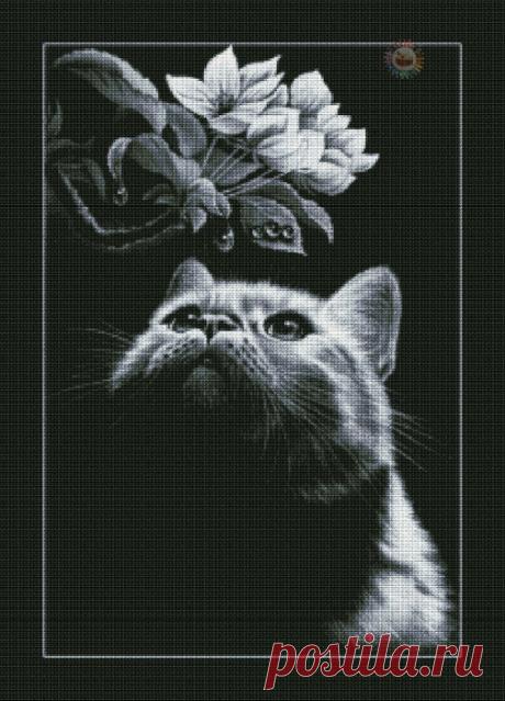 ВЫШИВКА-КОТ С МАГНОЛИЕЙ