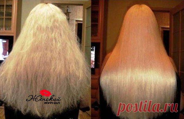 Домашнее ламинирование волос. 
 Рецепт:

- 1 яйцо;
- 4 ст. л. кефира или жидкого йогурта;


- 2 ст. л. майонеза;
- 1 ст. л. касторового масла.

Всё смешать, нанести на волосы на 15 минут и смыть.