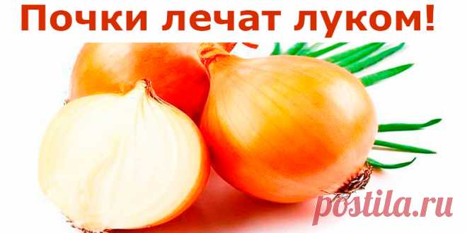 Почки лечат луком! | Полезные советы