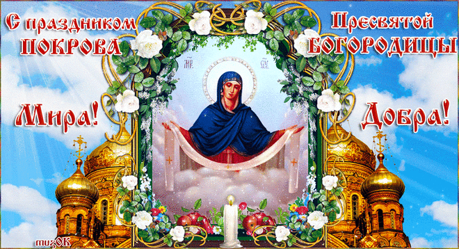 Желаю, чтобы Божья Мать
Тебя всегда оберегала,
Чтоб не дала тебе страдать
И благодатью покрывала.