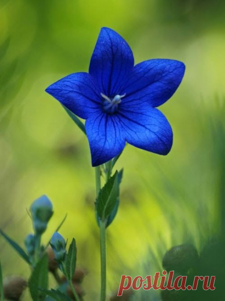 So bright and beautiful!
