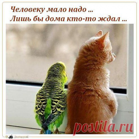 Юрий Долгорукий
๑ Один раз живем …ツ☞ но каждый день ... ๑