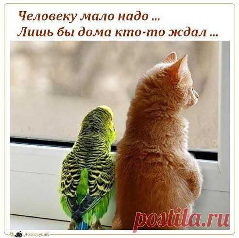 Юрий Долгорукий
๑ Один раз живем …ツ☞ но каждый день ... ๑