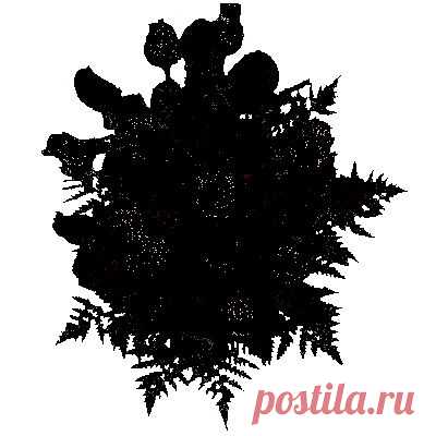 КРАСОТА  ЦВЕТОВ.