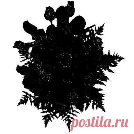 КРАСОТА  ЦВЕТОВ.