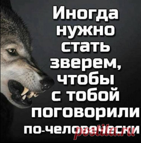 Мужской клуб — Картинки из тем | OK.RU