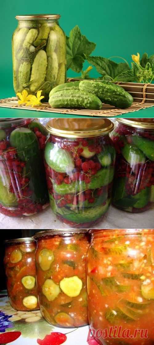 Консервирование огурцов: очень простые рецепты / Простые рецепты
