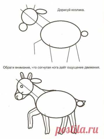 Рисуем животных 2 - Поделки с детьми | Деткиподелки