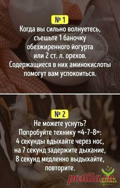 Полезные советы на все случаи жизни. Каким из них вы следуете а с какими не согласны?
#СельдерейППрецепты
