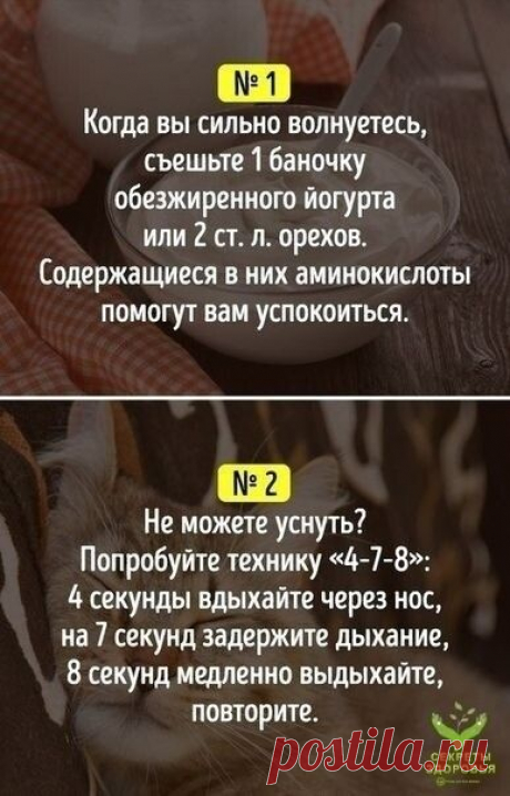 Полезные советы на все случаи жизни. Каким из них вы следуете а с какими не согласны?
#СельдерейППрецепты
