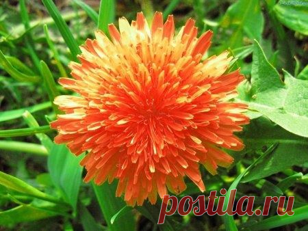 h-337.jpg (450×338)