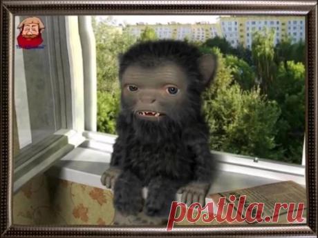 Галерея сайта "С Днюхой" - Google+