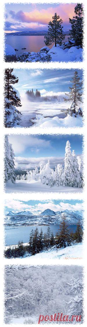 nimfea180776 — альбом «Мои работы / Мой клипарт / Природа. Зима PNG» на Яндекс.Фотках