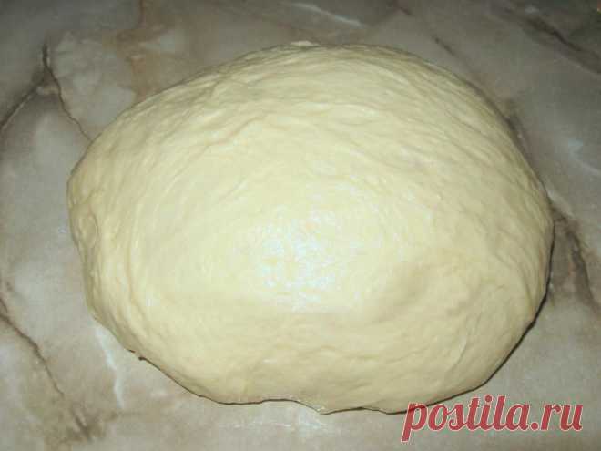 Дрожжевое тесто на сыворотке для пирогов и пирожков рецепт с фото и видео - 1000.menu