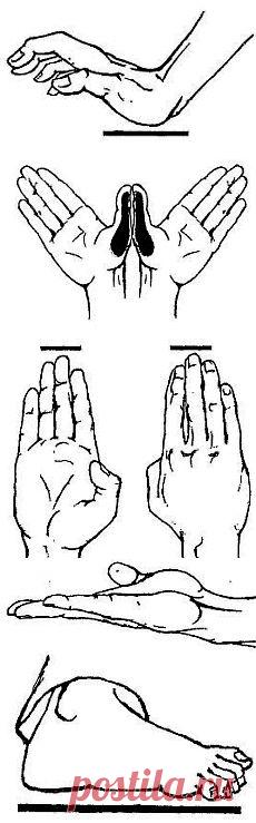 Теория Каппо / КАППО.Японская техника реанимации в практике боевых искусств