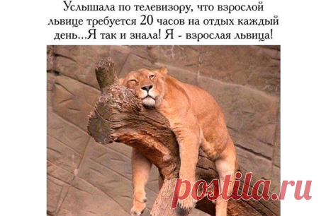 Жизненно: бьюти-мемы, которые заставят тебя смеяться | Краше Всех