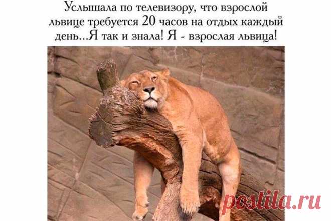 Жизненно: бьюти-мемы, которые заставят тебя смеяться | Краше Всех