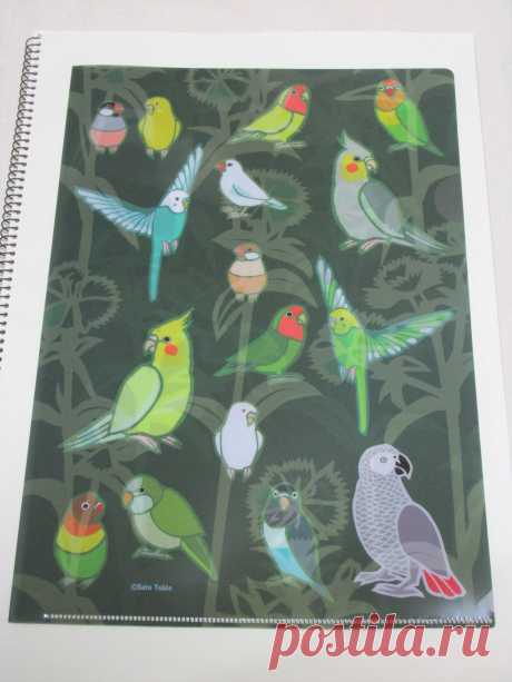 Bird A4 File Folder Organizer – Sweet Birdie Boutique (International)