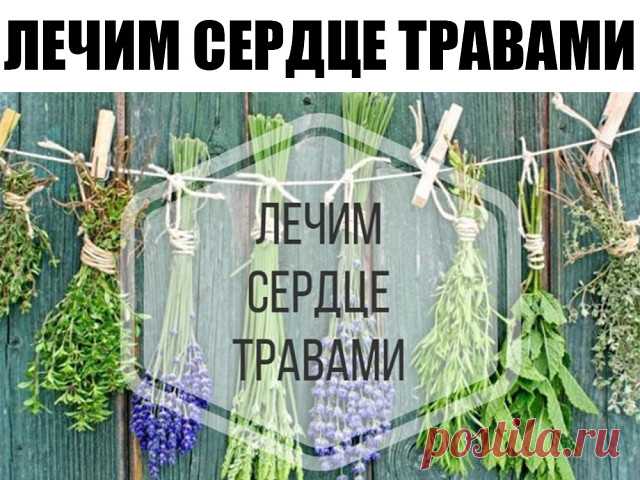 ЛЕЧИМ СЕРДЦЕ ТРАВАМИ

При гипертонии

- 2 раза в день съедайте по 1 ч.л. измельченных семян укропа. Забудете о проблемах с давлением.

При атеросклерозе

- 1 стол.лож. измельченных корней одуванчика залить стаканом кипятка, процедить. Принимать по 1/4 стакана 3-4 раза в день за 30 минут до еды.

При сердечной недостаточности

- 1 ч.л. травы желтушника залить 0,5 стакана кипятка, настаивать 2 часа. Принимать по 1 ст.лож. настоя 3 раза в день в течение 20 дней.

При замедлен...