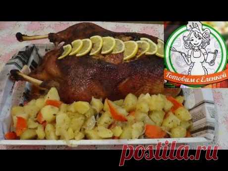 Рождественский гусь в духовке. Рецепт гуся с яблоками в рукаве