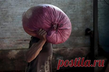 В Европе захотели уничтожить сотни тысяч тонн кофе и какао. Сотни тысяч тонн кофейных зерен и какао, хранящихся на складах в странах Евросоюза, оказались под угрозой уничтожения. Это связано с законом, принятым в июне 2023 года в ЕС, который запрещает импорт товаров, произведенных в результате вырубки леса и использования детского труда. Об этом сообщает Financial Times.