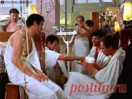 ▶ КОБЕЛИ .....прикольн - YouTube