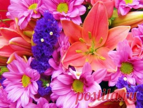 Спасибо за Самого Любимого Человечка в Мире