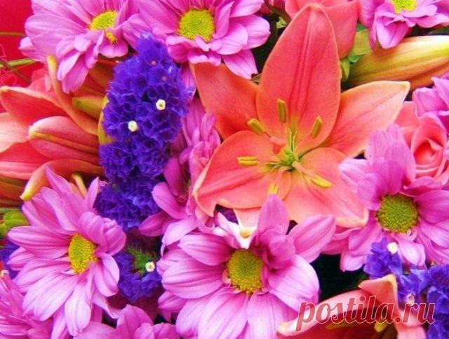 Спасибо за Самого Любимого Человечка в Мире