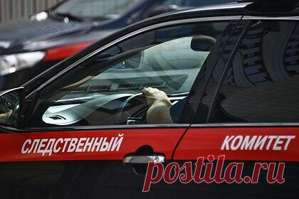 Жители Вологды рассказали об убийце девятилетней девочки. Жители Вологды сообщили, что неоднократно обращались в полицию из-за поведения предполагаемой убийцы местной девочки. По словам соседей, женщина часто вела себя неадекватно, следила за чужими детьми на детской площадке, некоторых пыталась увести из школы.