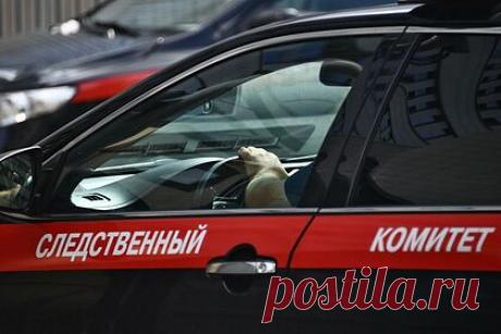 Жители Вологды рассказали об убийце девятилетней девочки. Жители Вологды сообщили, что неоднократно обращались в полицию из-за поведения предполагаемой убийцы местной девочки. По словам соседей, женщина часто вела себя неадекватно, следила за чужими детьми на детской площадке, некоторых пыталась увести из школы.