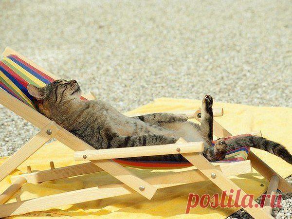 Михаил Мартынов