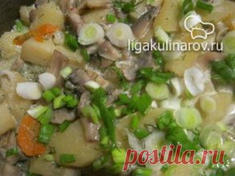 Картофель тушеный с грибами в сметане – рецепт с фото от Лиги Кулинаров, пошаговый рецепт